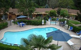 Ponderosa Gardens Motel